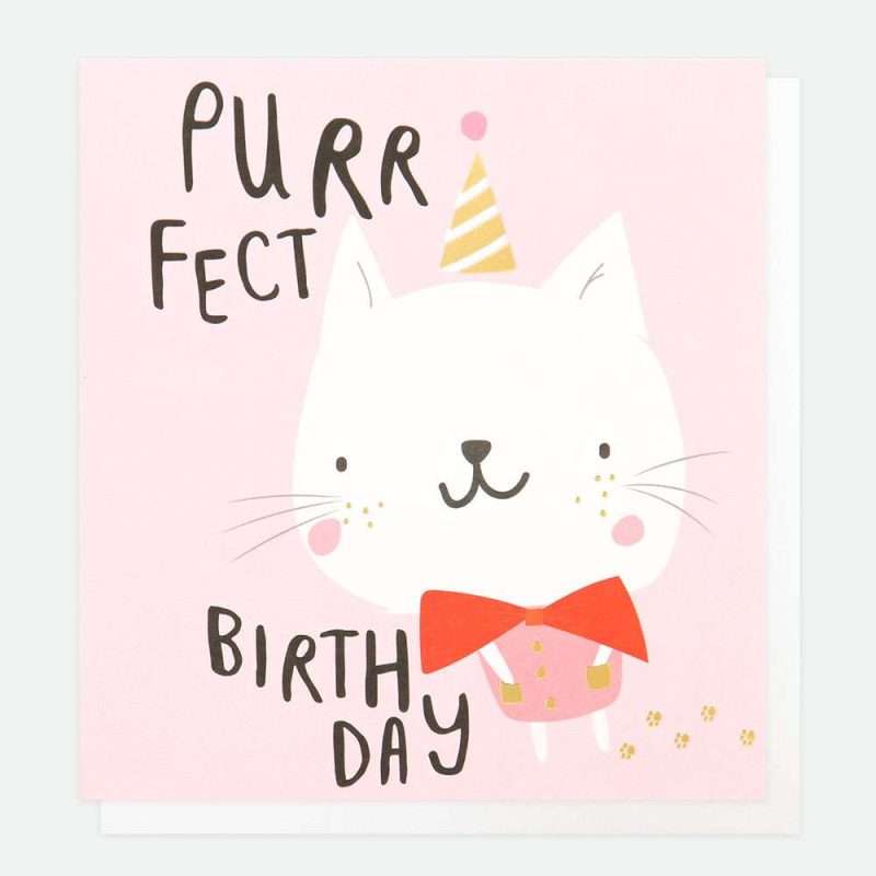 Little girls birthday card in pink with an illustration of a cute cat with a party hat by Caroline Gardner