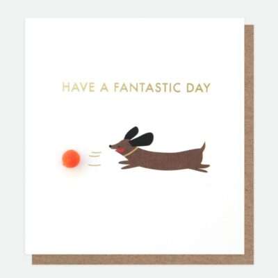 Mini Poms Dog Birthday Card - Caroline Gardner
